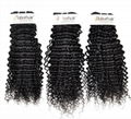 Brazilian Kinky Curly Unprocessed Virgin Hair for Salon (Grade 9A)