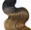 Brazilian Ombre Remy Human Hair Weft at Wholesale Price with SGS Approved (Body  2