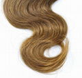 Brazilian Ombre Remy Human Hair Weft at Wholesale Price with SGS Approved (Body  3