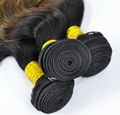 Brazilian Ombre Remy Human Hair Weft at Wholesale Price with SGS Approved (Body  4