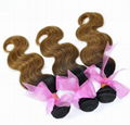 Brazilian Ombre Remy Human Hair Weft at