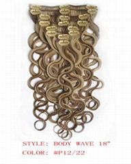 Clip in Hair Extension, clip Hair, Wig Hair Extension