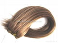 Human Hair Weft/Machine Hair Wefts 1