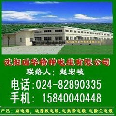 Shenyang ruihua special cable Co., LTD 