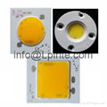 AC LED 220V LED AC COB LED MODULE 30w 50w 20w 3