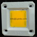 AC LED 220V LED AC COB LED MODULE 30w 50w 20w 6