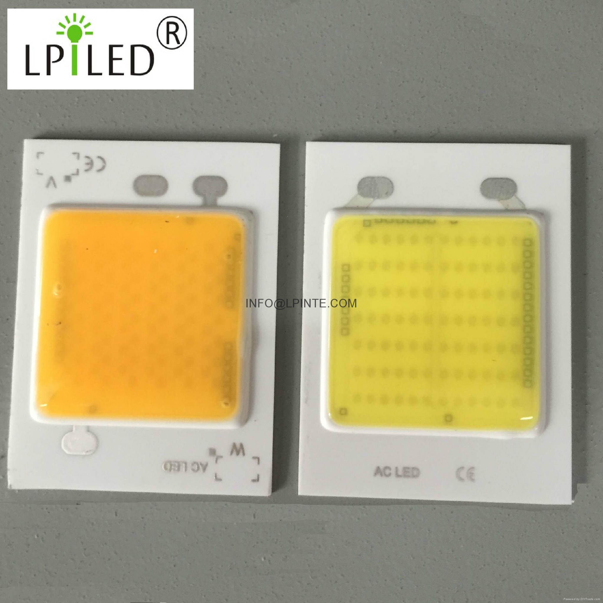 AC COB LED 50W led Punto de 220V 50W 2