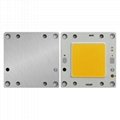 50W LED