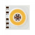 50w LED RGBW CHIP LED RGBW COB LED RGB LED MODULE TYF 4027 15