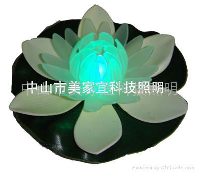 lotus floats the light  3