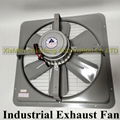 Taiwan Industrial Exhaust Fan AP181 AP182 AP142 AP143