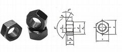 Hex Nut(DIN934, DIN936, UNI5587)