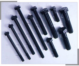 Hexagon bolts (DIN931, DIN933, DIN960, DIN961, DIN558)