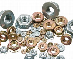 Flange Nut (DIN6923,ISO4161)