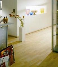 Indoor -laminated flooring 1