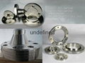 stainless steel forged flange