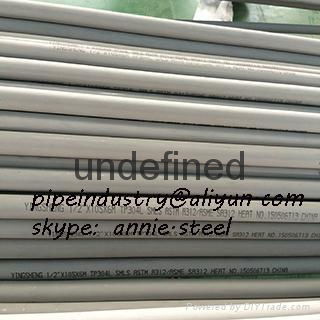 stainless steel seamless pipe tp304  2
