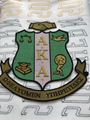 Big Size Alpha kappa alpha AKA Chenille Patch 3