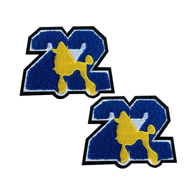 Sigma Gamma Rho Sorority Embroidered Patch for Jacket 3