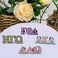 hard enamel greek letter sorority pin badge