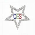 Greek Sorority the order of Eastern star OES brooch custom vote lapel pin