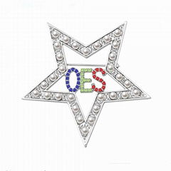 Greek Sorority the order of Eastern star OES brooch custom vote lapel pin