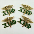  green and yellow sorority xho letter blanket chi eta phi custom  brooch chum 