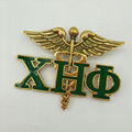  green and yellow sorority xho letter blanket chi eta phi custom  brooch chum 