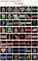 sorority and fraternity Patches Greek Letters Chenille Patches