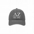 Delta Zeta  Sigma Alpha Iota Delta Phi Epsilon Greek Sorority Baseball Hat