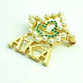 Greek Sorority AKA The order of Eastern star custom Vote brooch Lapel pin