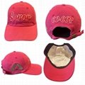 DST SGRho Dad Hat Pink and Green Hat