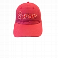 DST SGRho Dad Hat Pink and Green Hat