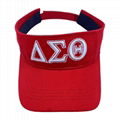 Delta Sigma Theta Embroidered Visor