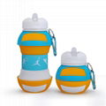 Kids Basketball Soccer Baseball Football Champi Sports Water Bottle Collapsible 