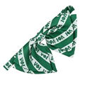  Pink And Green Sorority Masonic Chi Eta Phi Custom Women Bowtie