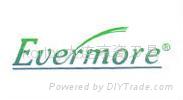 EVERMRE VDI  TOOLS