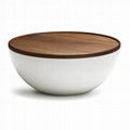 tempered round glass top bowl shape storage function fiberglass coffee table