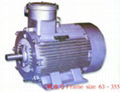 Explosion-Proof Three Phase Induction Motor (YB2) 1