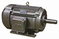 NEMA High-Efficiency Three Phase Induction Motor 1