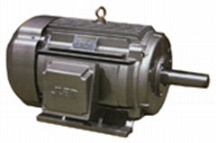 NEMA High-Efficiency Three Phase Induction Motor