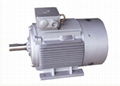 Series Ye1fan Cooled Squirrel-Cage High-Efficiency Three-Phase Induction Motors