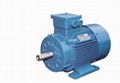 Y2/Y3 Series Three Phase Asynchronous Cast Iron Housing Motor 1