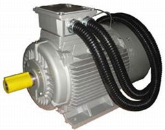 GW series high temperature motors