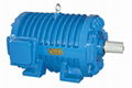 Roller-way three-phase induction motor 1