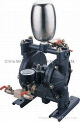 Double Diaphragm Pump (DP-1)