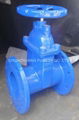 Cast iron valve