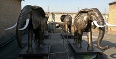 Elephant life size