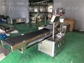 Flat Automatic Labeling Machine with Vacuum Belt Conveyor 2