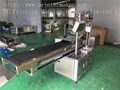 Automatic Labeling Machine for Card 3